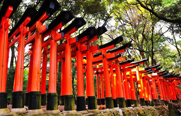 Weed in Kyoto