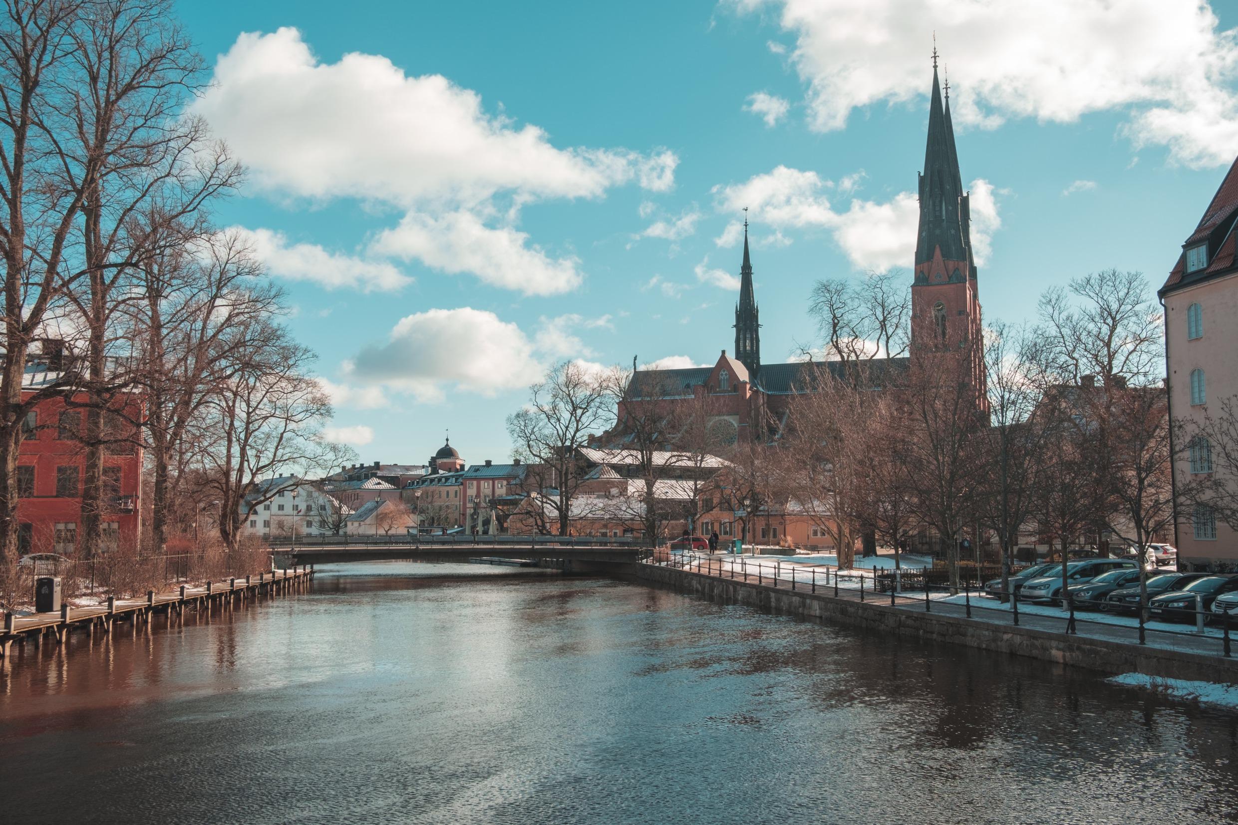 Weed in Uppsala